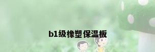 b1级橡塑保温板