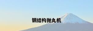 钢结构抛丸机