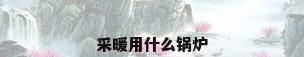 采暖用什么锅炉