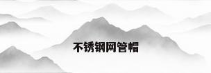 不锈钢网管帽