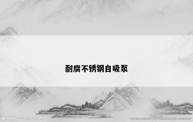 耐腐不锈钢自吸泵