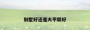 别墅好还是大平层好
