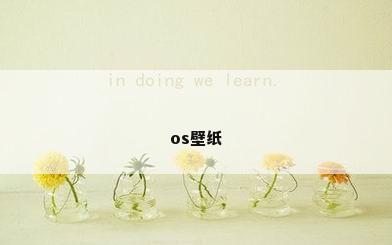 os壁纸