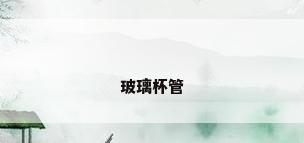玻璃杯管