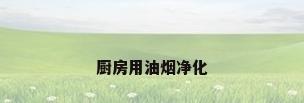 厨房用油烟净化