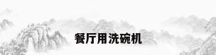 餐厅用洗碗机