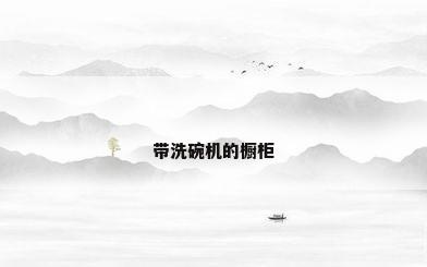 带洗碗机的橱柜