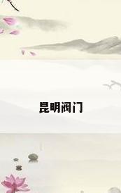 昆明阀门