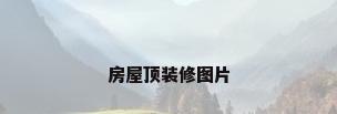 房屋顶装修图片