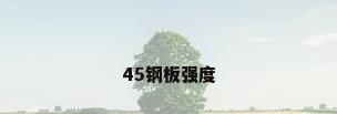 45钢板强度