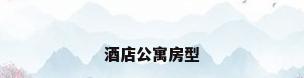 酒店公寓房型