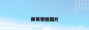弹簧钢板图片