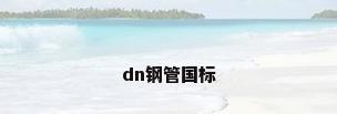 dn钢管国标