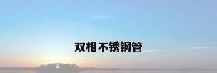 双相不锈钢管