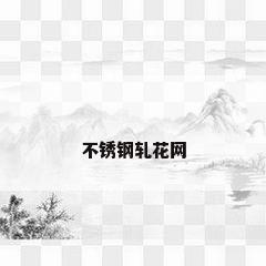 不锈钢轧花网