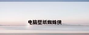电脑壁纸蜘蛛侠