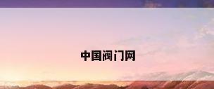 中国阀门网