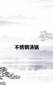 不锈钢汤锅