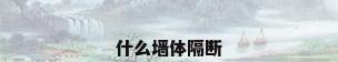 什么墙体隔断