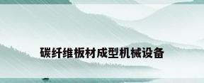 碳纤维板材成型机械设备
