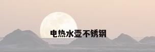 电热水壶不锈钢
