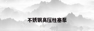 不锈钢高压柱塞泵