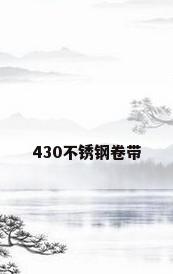 430不锈钢卷带