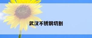 武汉不锈钢切割