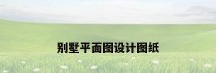 别墅平面图设计图纸