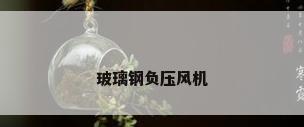 玻璃钢负压风机