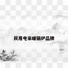 民用电采暖锅炉品牌