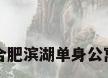 合肥滨湖单身公寓