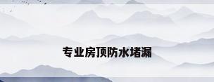 专业房顶防水堵漏