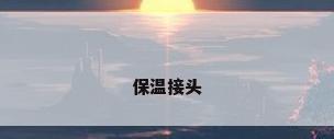保温接头