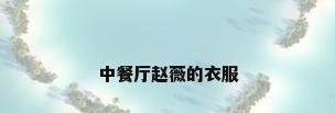 中餐厅赵薇的衣服