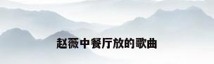 赵薇中餐厅放的歌曲
