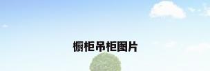 橱柜吊柜图片