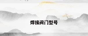 焊接阀门型号
