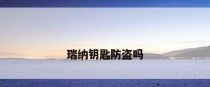 瑞纳钥匙防盗吗