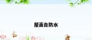 屋面自防水
