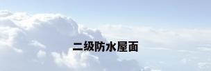 二级防水屋面