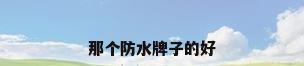 那个防水牌子的好
