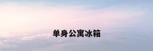 单身公寓冰箱