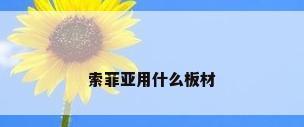 索菲亚用什么板材