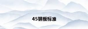 45钢板标准