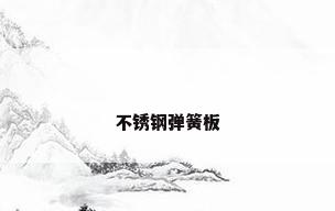 不锈钢弹簧板