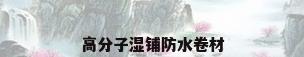 高分子湿铺防水卷材