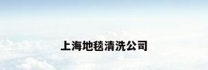 上海地毯清洗公司