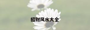 招财风水大全