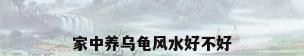家中养乌龟风水好不好